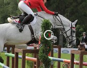 Muller U Tabasca CsioArJYR SS7 8382 : CSIO Giovani Arezzo, Muller Chantal, U Tabasca, foto Stefano Secchi ©